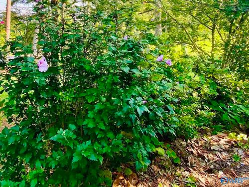 196 Space Rd, Bessemer, AL, 35023-5914 | Card Image