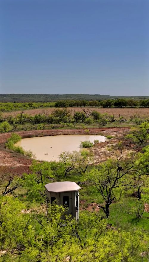 163 Campbell Ln, Jacksboro, TX, 76458 | Card Image