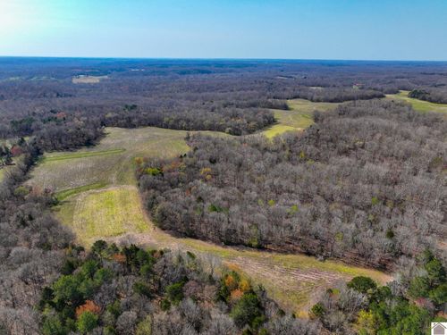000 Croaker Ln, Hazel, KY, 42049 | Card Image