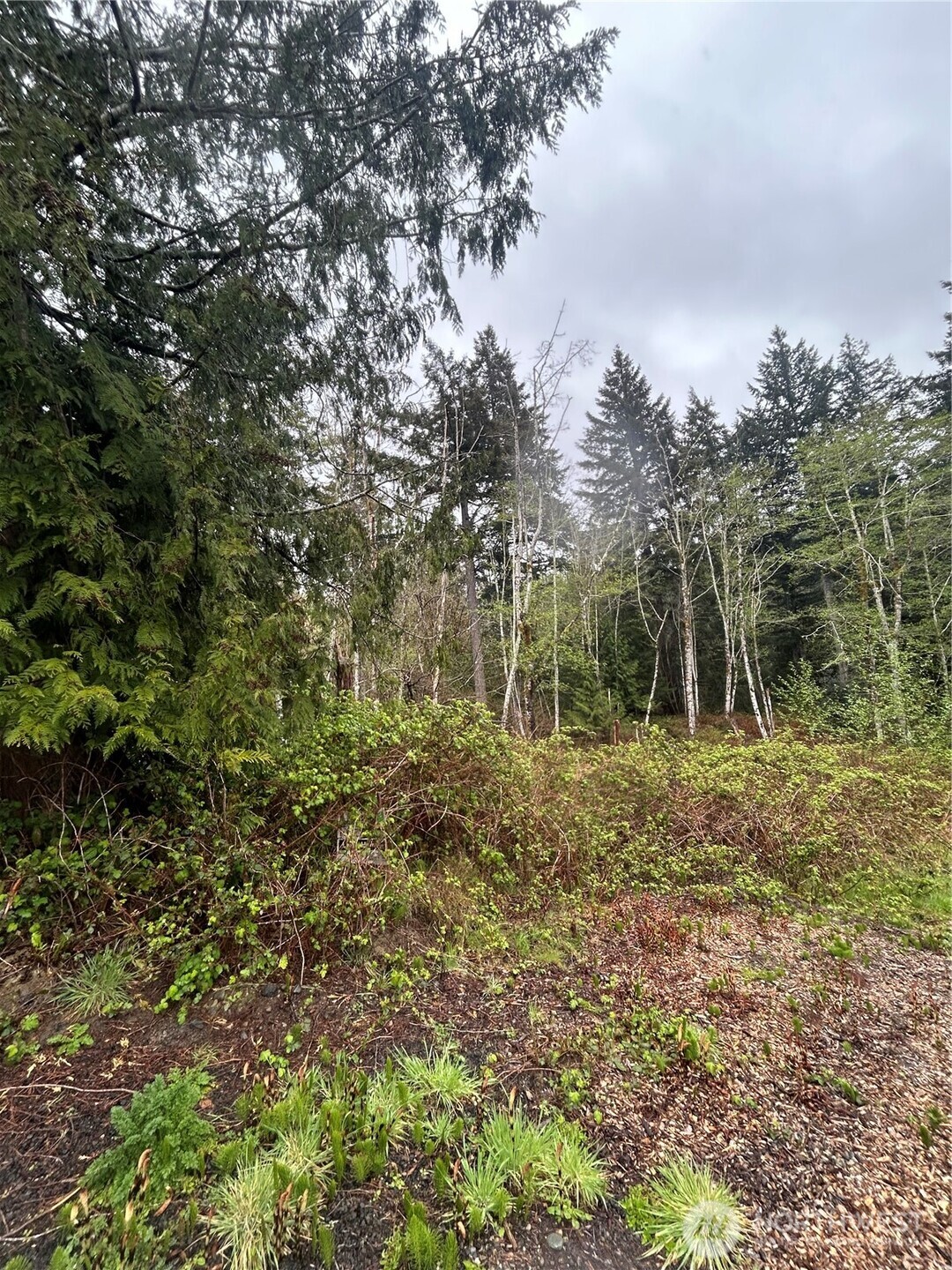 Land in Olympia 5
