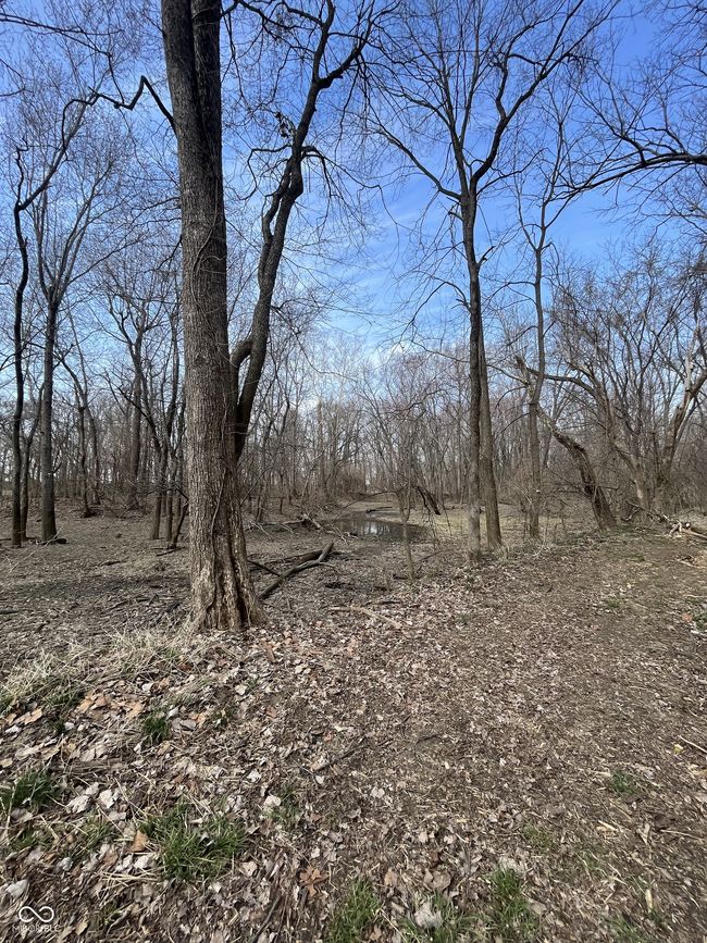 0 River Road Dr, Home with 0 bedrooms, 0 bathrooms and null parking in Columbus IN | Image 9