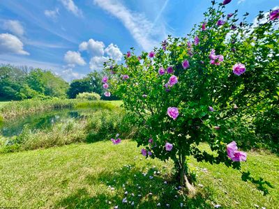 624 Arnold Hill Road, House other with 2 bedrooms, 1 bathrooms and 3 parking in Elkins WV | Image 2