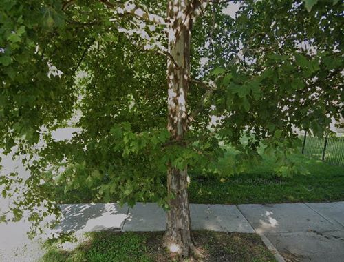 6010 S Union Avenue, Chicago, IL, 60621 | Card Image
