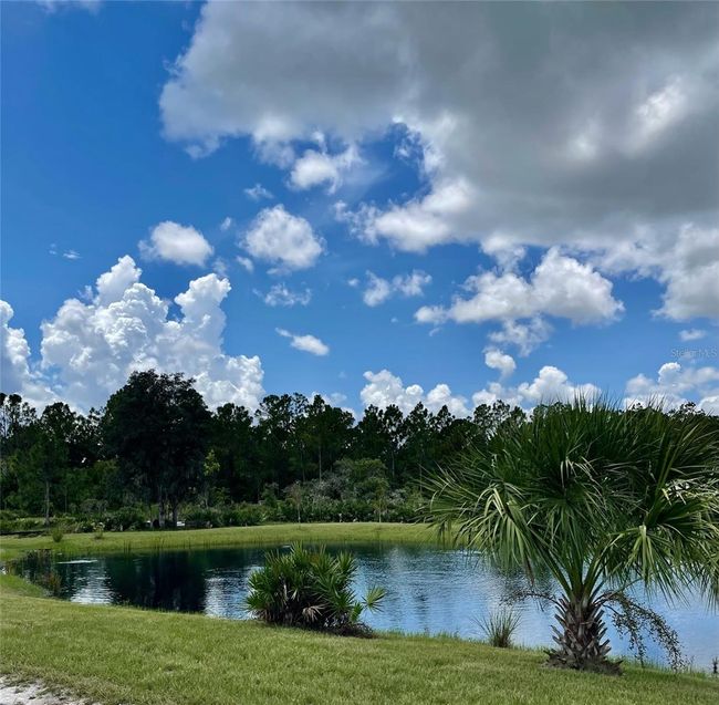 2607 405 Th Ct E, Home with 0 bedrooms, 0 bathrooms and null parking in MYAKKA CITY FL | Image 15