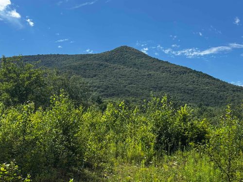 2-272 Twenty Acre Wood, Arlington, VT, 05250 | Card Image