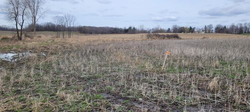 V/L Tasker Road, Lake Odessa, MI, 48849 | Card Image