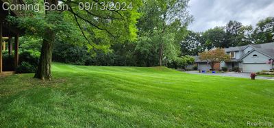 Backyard, tree lined | Image 2