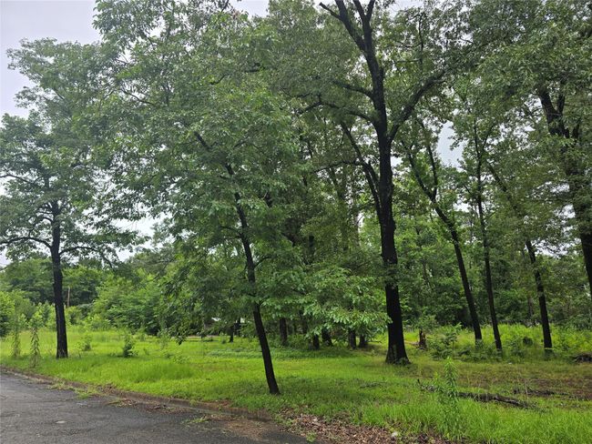 208 Mountain View Dr, Home with 0 bedrooms, 0 bathrooms and null parking in Daingerfield TX | Image 5