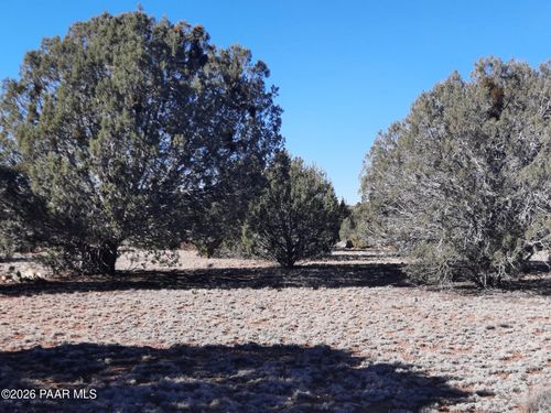 33175 W Cowboy Clint Way, Seligman, AZ, 86337 | Card Image