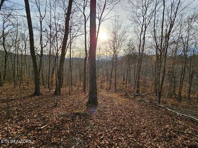 13.69ac Ward Lane, Home with 0 bedrooms, 0 bathrooms and null parking in Washburn TN | Image 1