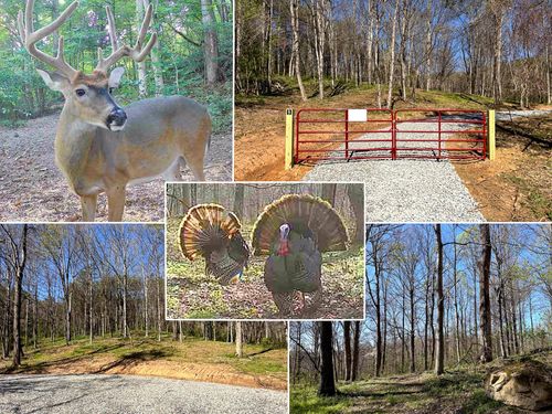 little-kyger-tract-9-0 Little Kyger Rd, Cheshire, OH, 45620 | Card Image