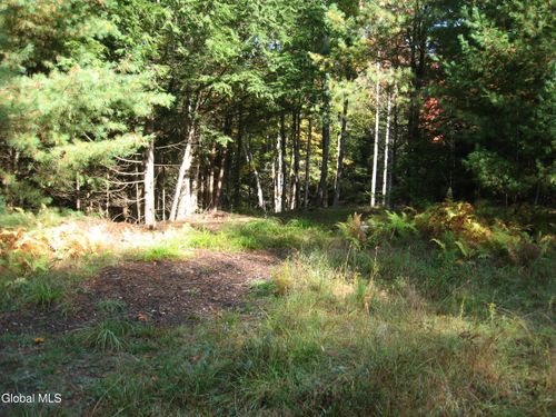 14 Granite Ridge Rd, Chestertown, NY, 12817-3022 | Card Image