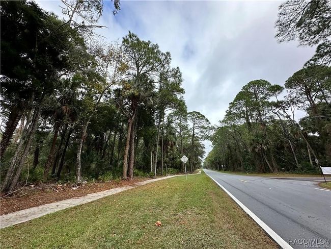 20 Highway 40 W, Home with 0 bedrooms, 0 bathrooms and null parking in Yankeetown FL | Image 4