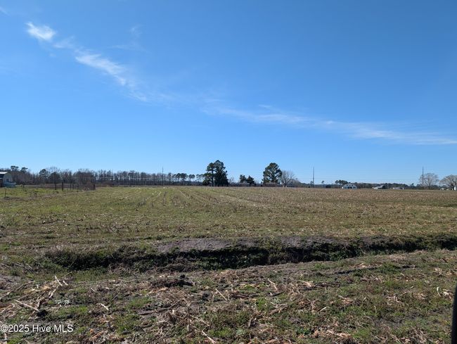 000 Cedar Fork Rd, Home with 0 bedrooms, 0 bathrooms and null parking in Beulaville NC | Image 5