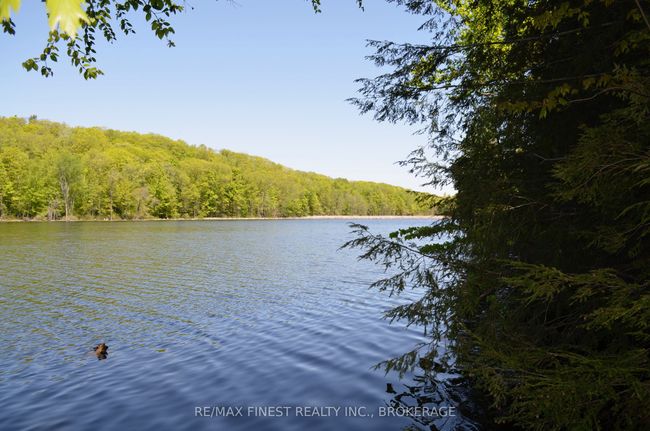 734 Sherbrooke Dr, Home with 0 bedrooms, 0 bathrooms and null parking in Maberly ON | Image 13