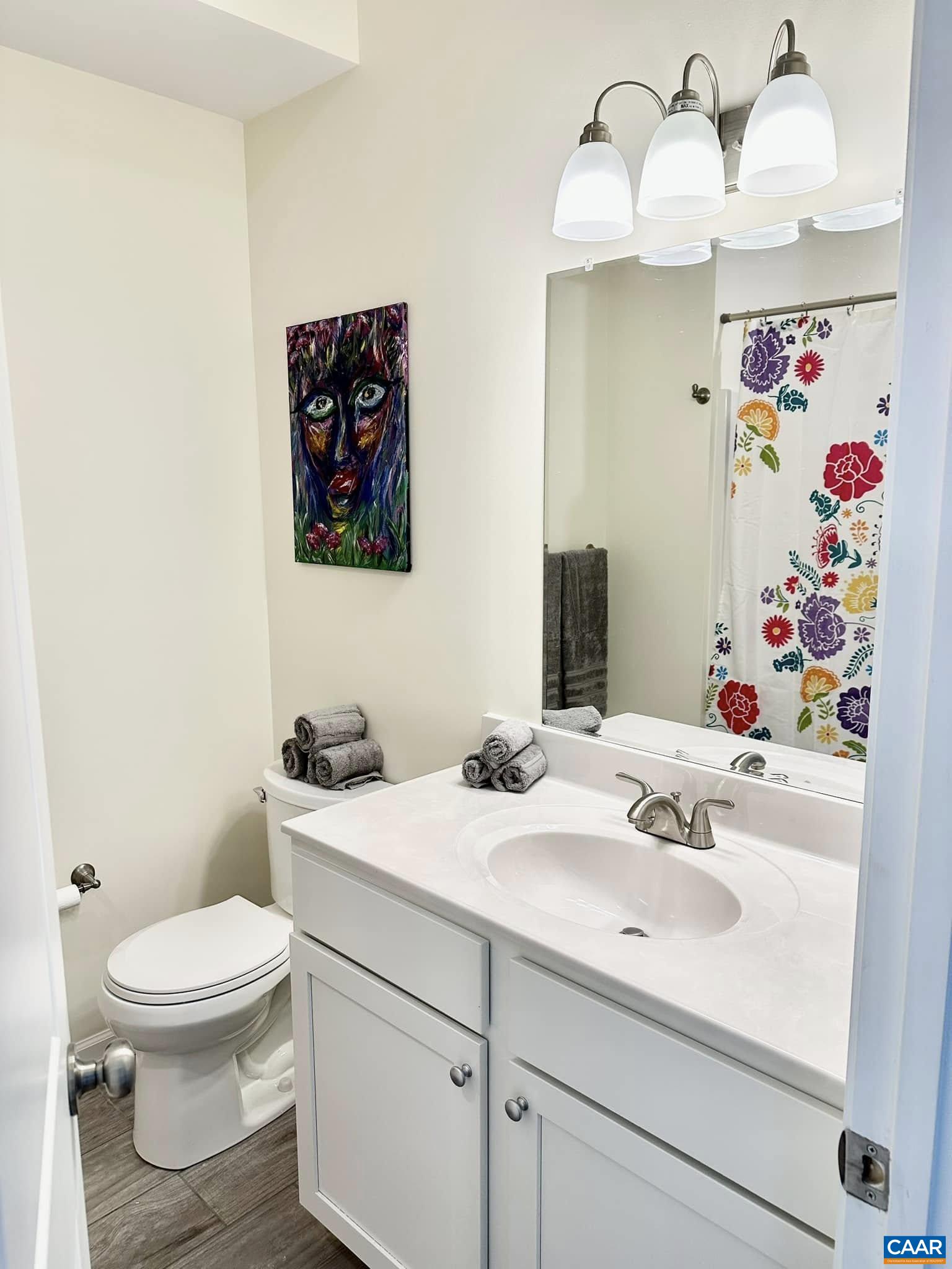 Residential in Charlottesville 2