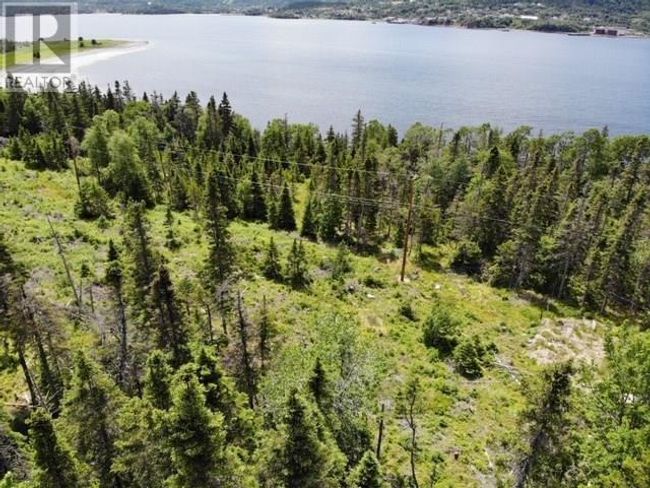 LOT 16 Random Brook Road, Home with 0 bedrooms, 0 bathrooms and null parking in RANDOM ISLAND NL | Image 4