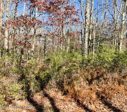 A151 Blackberry Ln, Jim Thorpe, PA, 18229 | Card Image