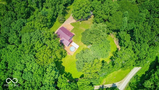 bird's eye view of a forest | Image 4