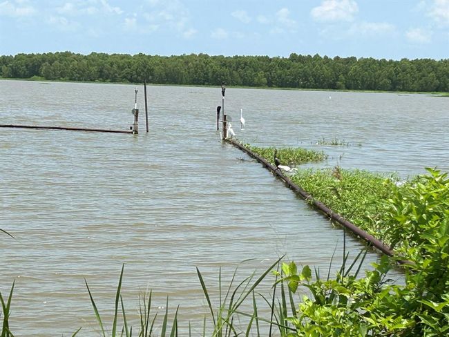 Trinity River Entrance into Trinity Cove | Image 49