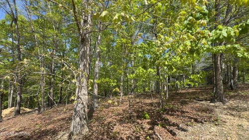 2085 Old Dogwood Trl, Loudon, TN, 37774 | Card Image