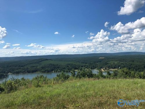 222-Lot 222 County Road 1022, Cedar Bluff, AL, 35959 | Card Image