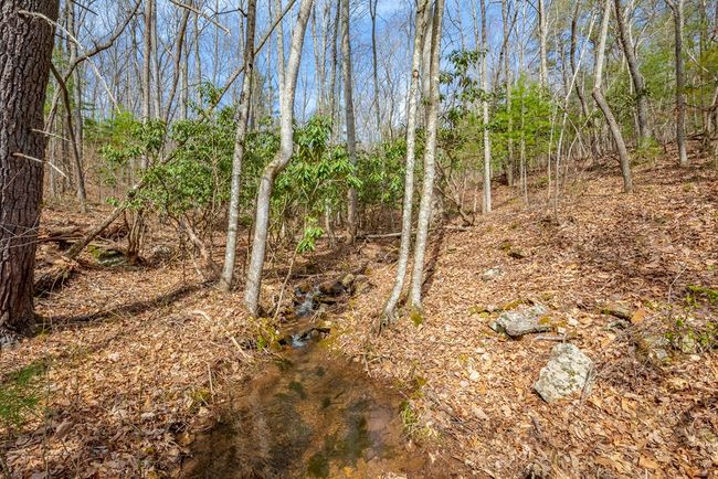 Lot12/14 Lake Forest Lane, Home with 0 bedrooms, 0 bathrooms and null parking in Bland VA | Image 6