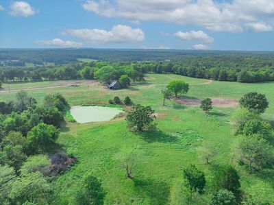 Old homesite | Image 1