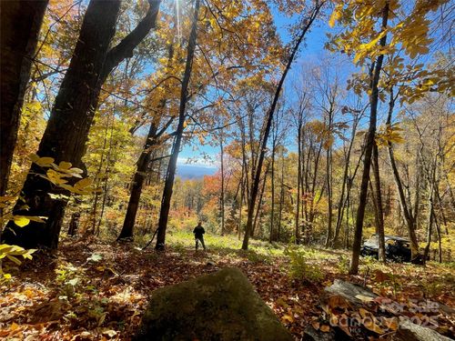 1-00000 New Sprout Ln, Hendersonville, NC, 28792 | Card Image