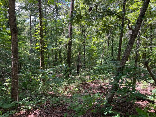 000 Pr Off Ridge Haven, Mammoth Spring, AR, 72554 | Card Image