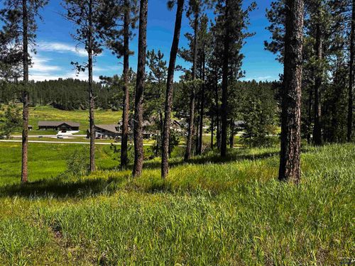 tbd-lakewood-court-Blk 7 Lot 4 Other, Hill City, SD, 57745 | Card Image