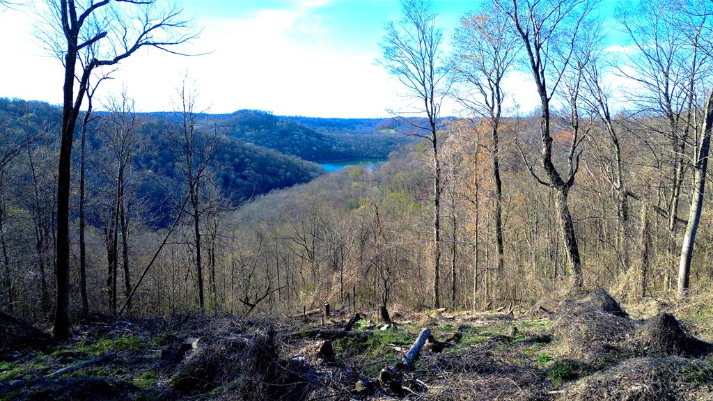 Land in Smithville