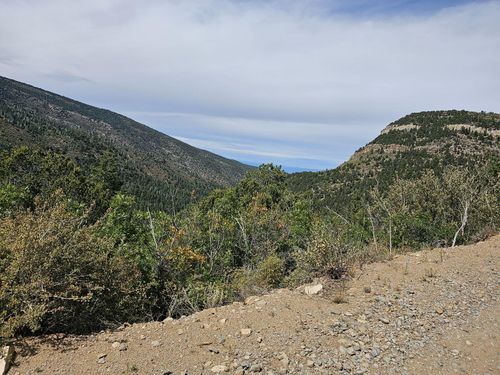 18 Canon Escondido Place, Sandia Park, NM, 87047 | Card Image