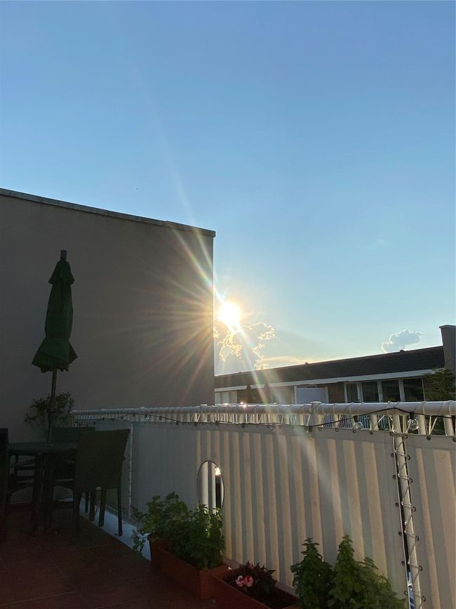 View of yard | Image 18