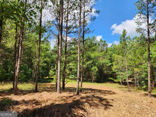 0 Smith Starley Rd, Mc Intyre, GA, 31054 | Card Image