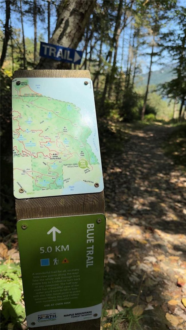Hiking and biking trails up the street | Image 59