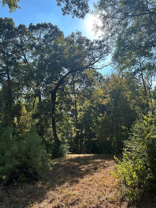 TBD Tiki Trl, Livingston, TX, 77351 | Card Image