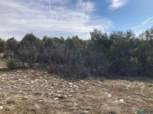 1 Cr 341 Rd, Chama, NM, 87520 | Card Image