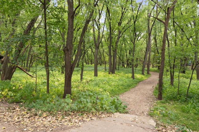 Direct access to nearby trails | Image 38