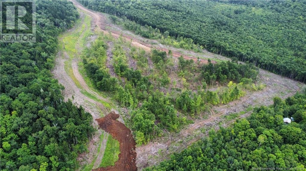 Land in Central Hainesville