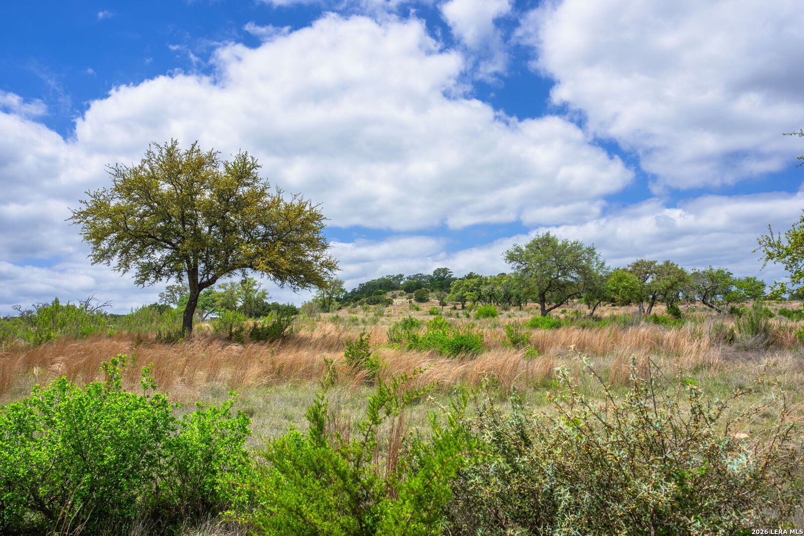 Land in Kerrville 2