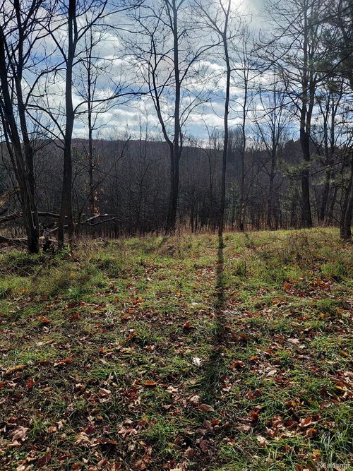 4547 Potter Rd, Bear Lake, MI, 49614-9525 | Card Image