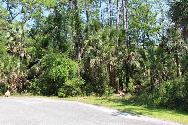 1 Hobbs Way, Home with 0 bedrooms, 0 bathrooms and null parking in ST MARKS FL | Image 11