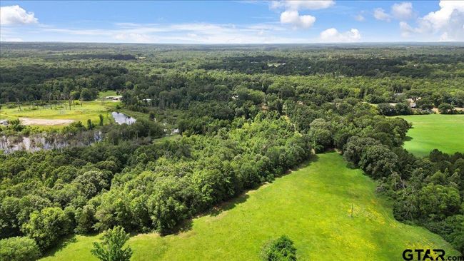14325 County Road 2141, Home with 3 bedrooms, 2 bathrooms and null parking in Troup TX | Image 46