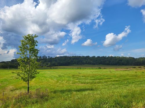 5185 8th St Sw, Rochester, MN, 55902-8753 | Card Image