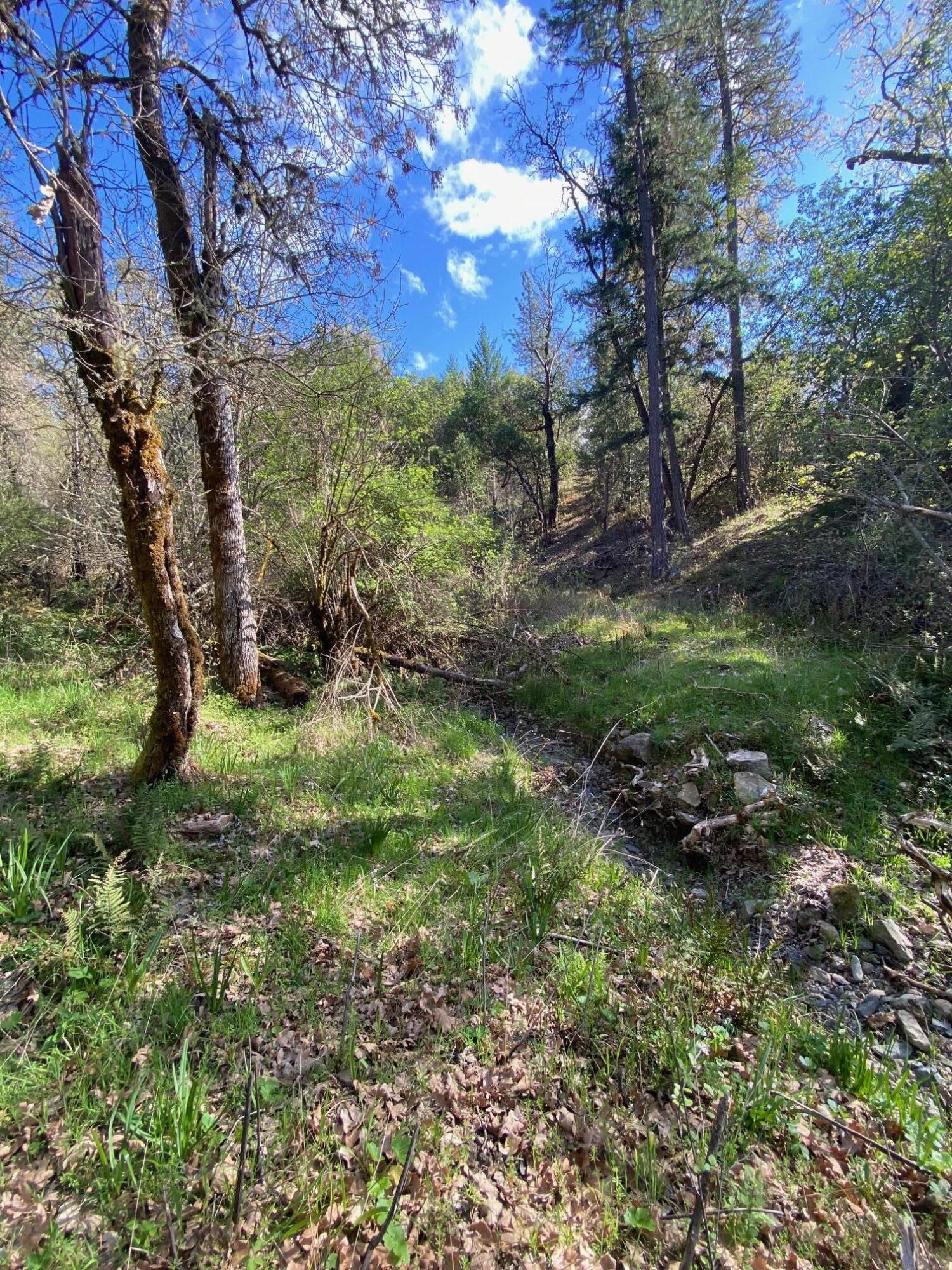 Land in Grants Pass 3