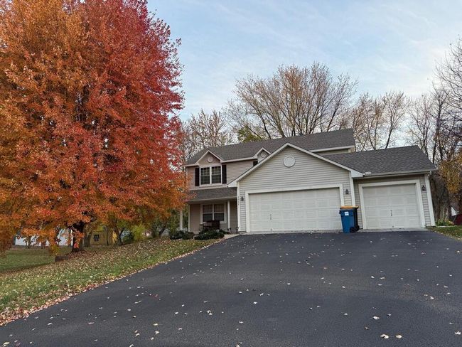 Beautiful tree in the front in the fall of the year | Image 49
