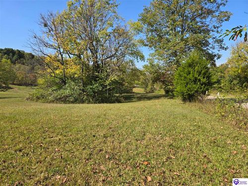 Lot 4 Guston Rd, Guston, KY, 40142 | Card Image