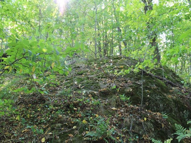 Lot 35 N Alpine Dr, Home with 0 bedrooms, 0 bathrooms and null parking in Upson WI | Image 12
