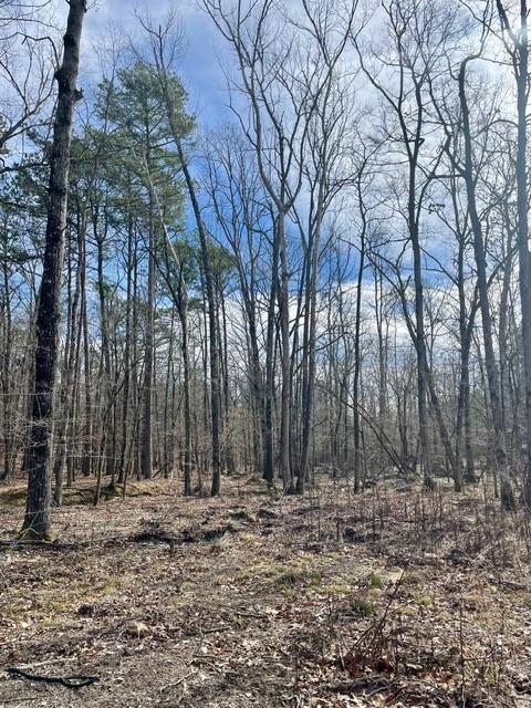 Land in Broken Bow 3